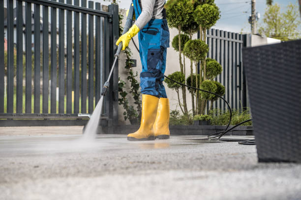 Best Building Exterior Washing  in North Hornell, NY